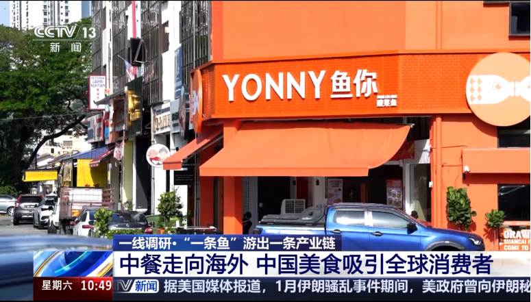 “一条鱼游出一条产业链”，央视聚焦“鱼你模式”